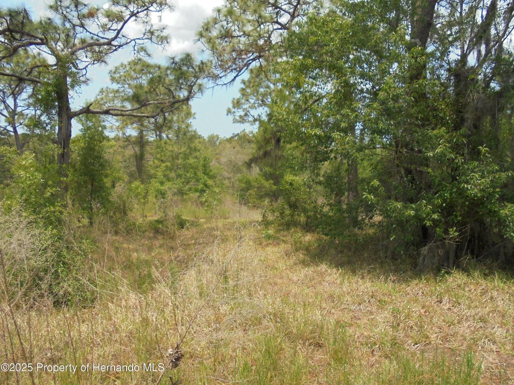 0 Bosley Drive, Shady Hills, FL 34610