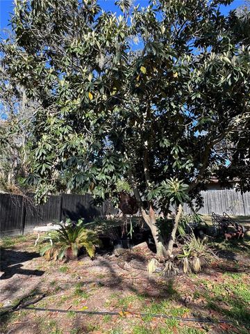 10731 LIBBY NUMBER 3 ROAD, Clermont, FL 34715