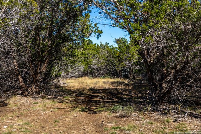 10935 Fm 470, Tarpley, TX 78883