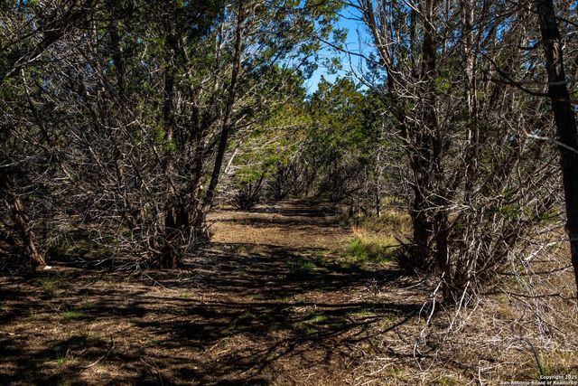 10935 Fm 470, Tarpley, TX 78883