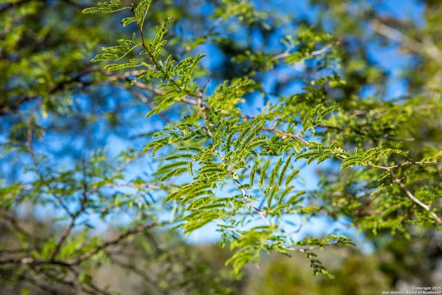 10935 Fm 470, Tarpley, TX 78883