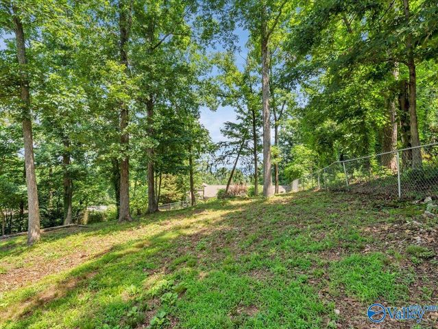 3516 Cedar Lane, Guntersville, AL 35976