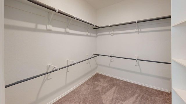 404 Ashby DR, Hutto, TX 78634