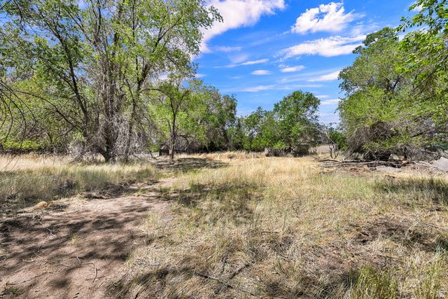 10717 S 1225 E, Sandy, UT 84094