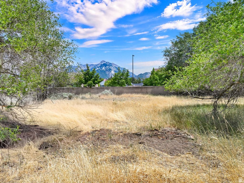 10717 S 1225 E, Sandy, UT 84094