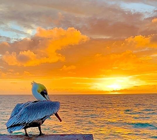 328 N Ocean Boulevard 902, Pompano Beach, FL 33062