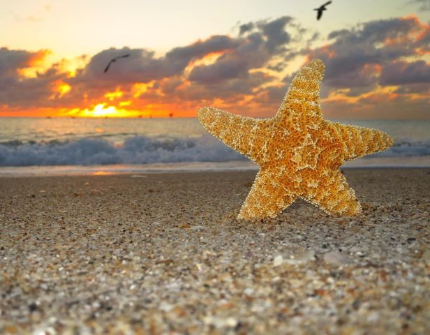 328 N Ocean Boulevard 902, Pompano Beach, FL 33062