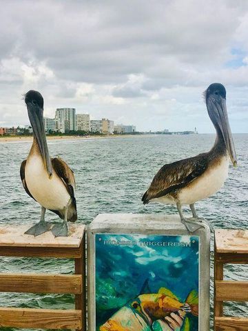 328 N Ocean Boulevard 902, Pompano Beach, FL 33062