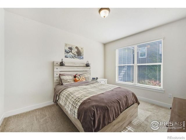 2100 Gather Court, Windsor, CO 80550