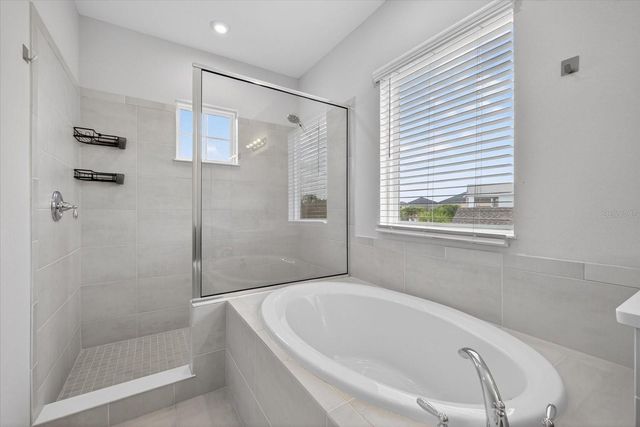 33947 ASTORIA CIRCLE, Wesley Chapel, FL 33545