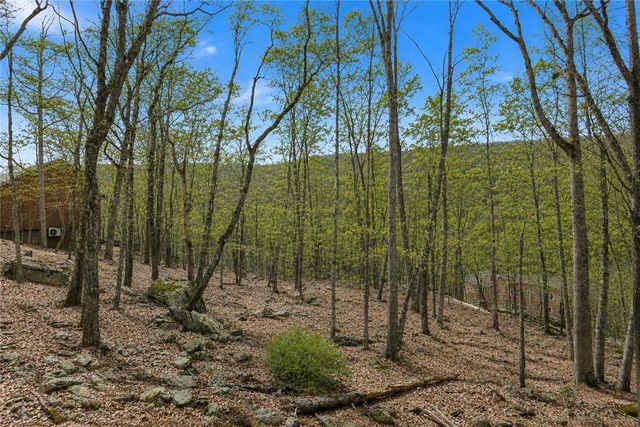 1007 Hampstead Road, Lehman Twp, PA 18324