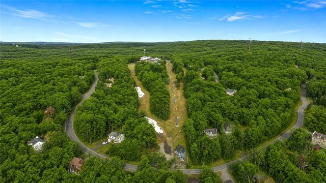 1007 Hampstead Road, Lehman Twp, PA 18324