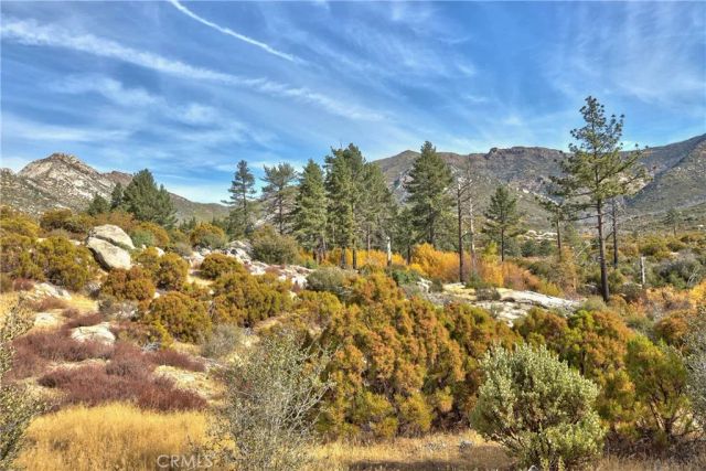 58111 Bonita Vista Road, Mountain Center, CA 92561