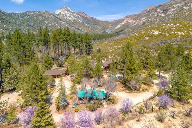 58111 Bonita Vista Road, Mountain Center, CA 92561