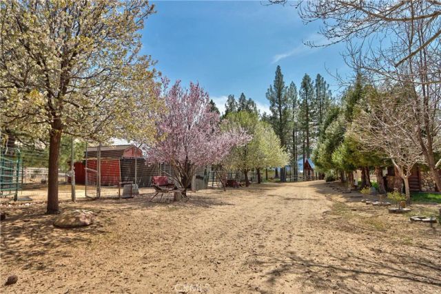 58111 Bonita Vista Road, Mountain Center, CA 92561