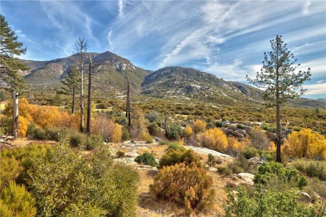 58111 Bonita Vista Road, Mountain Center, CA 92561