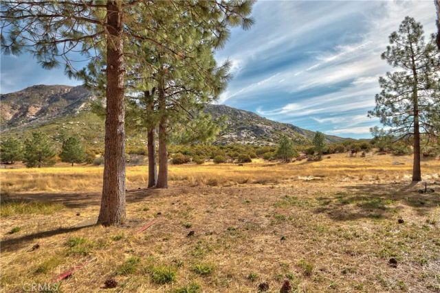 58111 Bonita Vista Road, Mountain Center, CA 92561