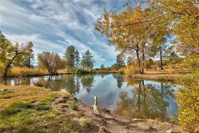 58111 Bonita Vista Road, Mountain Center, CA 92561