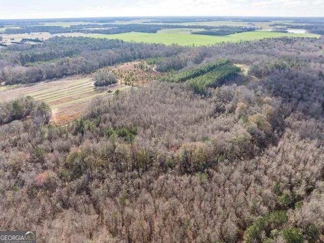 0 Scott Road, Elko, GA 31025