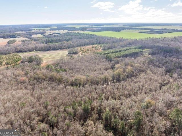 0 Scott Road, Elko, GA 31025