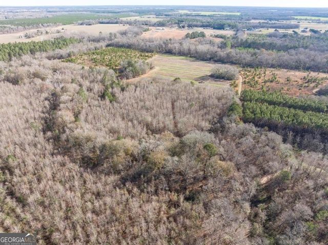 0 Scott Road, Elko, GA 31025