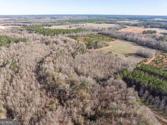 0 Scott Road, Elko, GA 31025