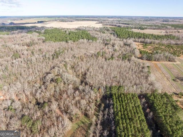 0 Scott Road, Elko, GA 31025