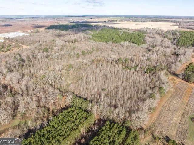 0 Scott Road, Elko, GA 31025