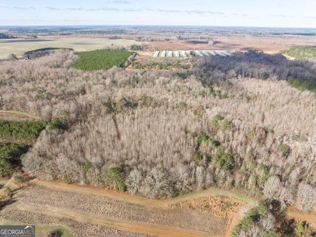 0 Scott Road, Elko, GA 31025