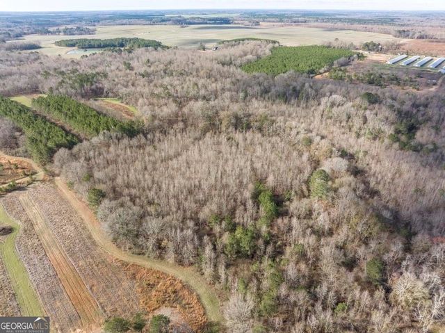 0 Scott Road, Elko, GA 31025