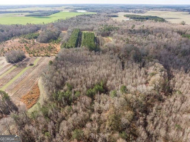 0 Scott Road, Elko, GA 31025