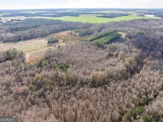 0 Scott Road, Elko, GA 31025