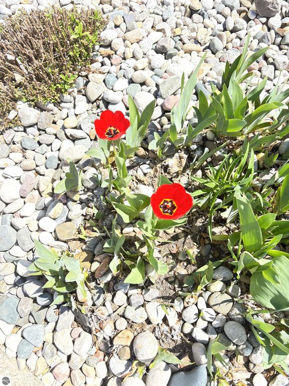 Image 24 of property listing at 1517 E Gaylord Street # B, Mt Pleasant, MI 48858