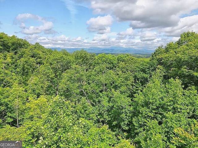 198 Sunrock Mountain Trace, Blue Ridge, GA 30513