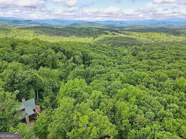 198 Sunrock Mountain Trace, Blue Ridge, GA 30513