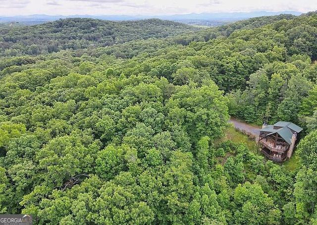198 Sunrock Mountain Trace, Blue Ridge, GA 30513