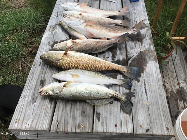 8304 Belle Fontaine Drive, Ocean Springs, MS 39564