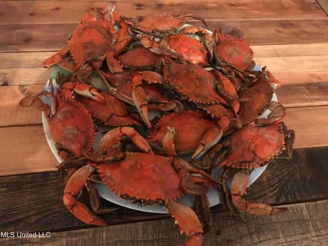 8304 Belle Fontaine Drive, Ocean Springs, MS 39564