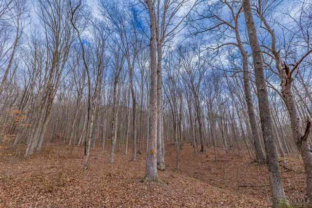1620 Coffee Hollow Road, Peebles, OH 45660