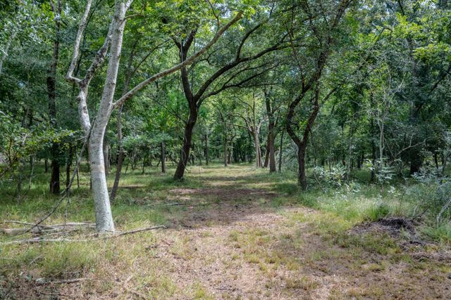 Tract 2 Charlie Meyer Road, Damon, TX 77430