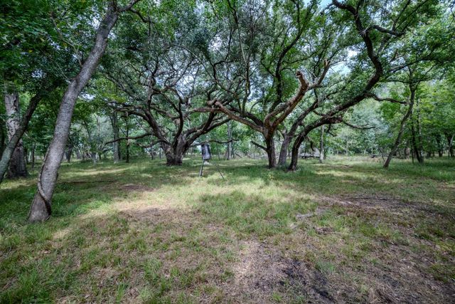 Tract 2 Charlie Meyer Road, Damon, TX 77430