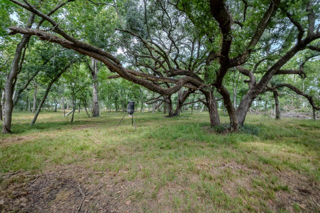 Tract 2 Charlie Meyer Road, Damon, TX 77430