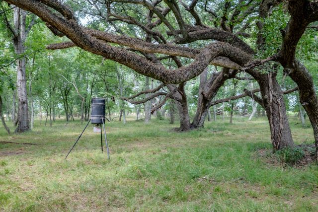Tract 2 Charlie Meyer Road, Damon, TX 77430