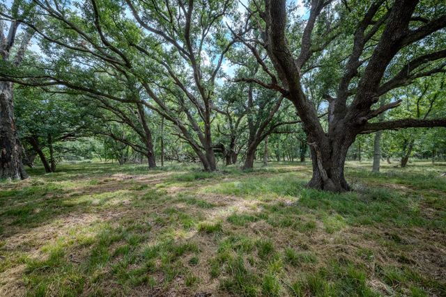 Tract 2 Charlie Meyer Road, Damon, TX 77430
