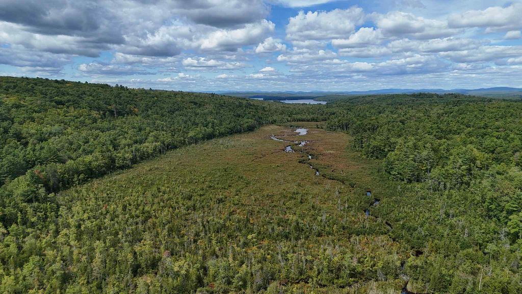 Lot 8 Bakerstown Road, Poland, ME 04274 — photo 2