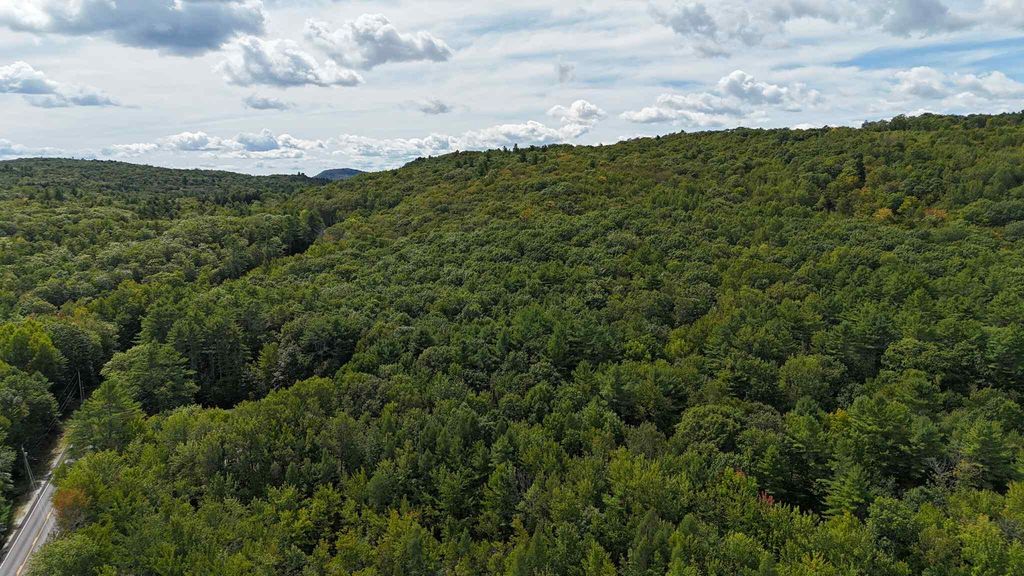 Lot 8 Bakerstown Road, Poland, ME 04274 — photo 3