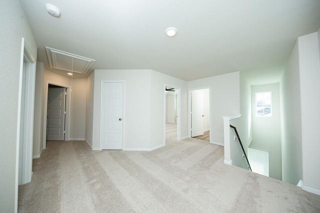 15615 Coneflower Hills Drive, Houston, TX 77090