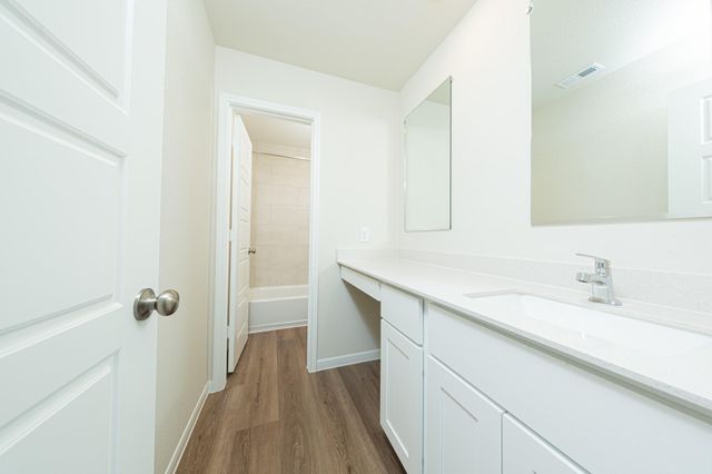15615 Coneflower Hills Drive, Houston, TX 77090