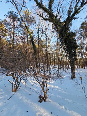 109 1st Street, Gun Plain Twp, MI 49080