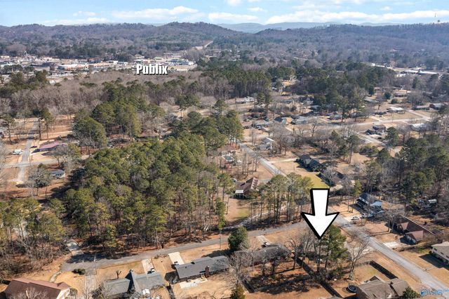 109 Covered Bridge Rd, Rainbow City, AL 35906